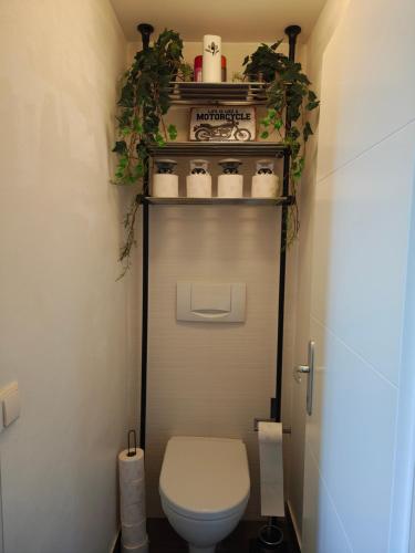 a bathroom with a toilet and a shelf with plants at Apartment Auszeit nahe Faaker See 24h Self Check-in in Latschach