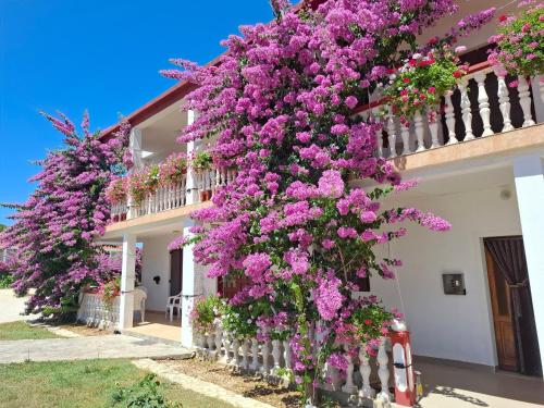 Apartments with parking space Privlaka, Zadar - 12985