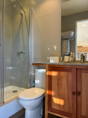 a bathroom with a toilet and a shower at Converted Farm Loft in Casablanca