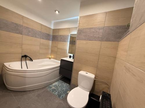 a bathroom with a toilet and a tub and a sink at Duchcov Apartments in Teplice