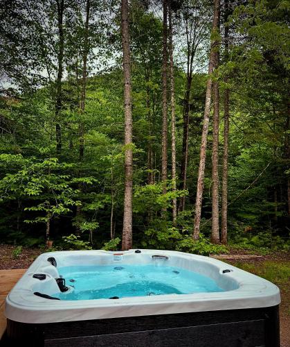 a hot tub in the middle of a forest at Chalet Le St-Ray in Saint-Raymond