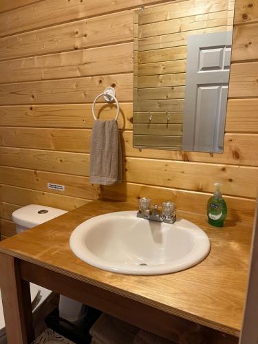 a bathroom with a sink and a mirror at Last Spike Lodging in Malakwa