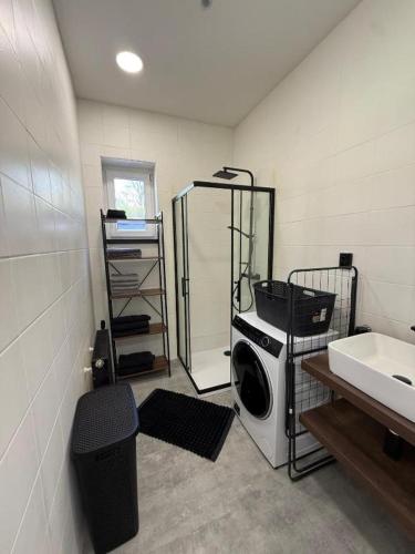 a laundry room with a washing machine and a sink at Teplice Apartments 2 in Teplice