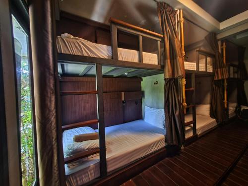 two bunk beds in a room with a window at Aha Lanta Cozy Hostel in Ko Lanta