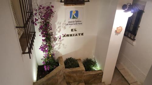 Φωτογραφία από το άλμπουμ του El Arriate de Vejer σε Vejer de la Frontera