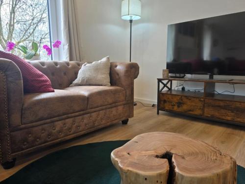 TV a/nebo společenská místnost v ubytování ElbDeck - Ferienwohnung mit Hund an der Elbe
