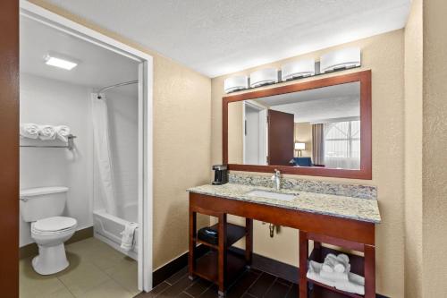 a bathroom with a sink and a toilet and a mirror at Comfort Inn & Suites Lakeland North I-4 in Lakeland