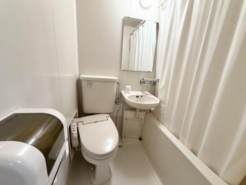 a bathroom with a toilet and a sink and a mirror at Hotel Tetora HonHachinohe in Hachinohe