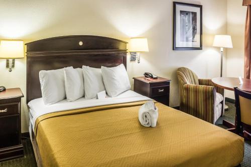 a hotel room with a bed with a cat sitting on it at Econo Lodge Palm Coast Central in Palm Coast