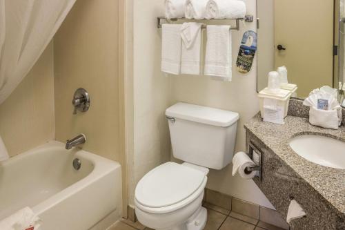 a bathroom with a white toilet and a sink at Econo Lodge Palm Coast Central in Palm Coast