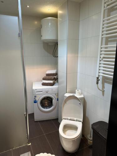 a bathroom with a toilet and a washing machine at alisa in Srebrenik