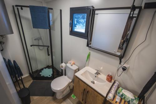 a bathroom with a shower and a toilet and a sink at Luxury Home in Igal