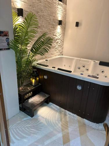 a bath tub in a bathroom with a plant at Palms La Union Beachfront Suites in San Juan