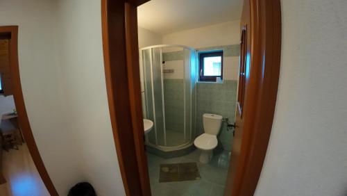 a bathroom with a toilet and a glass shower at Penzion Kokava in Kokava na Rimavica