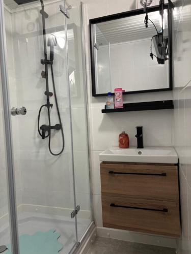 a bathroom with a shower and a sink at Home for two in Igal