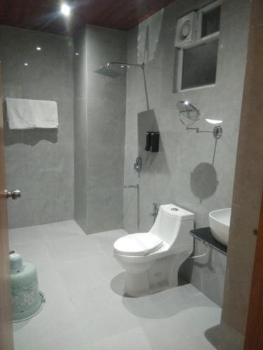 a bathroom with a white toilet and a sink at Shreeja Central in Bhawānipatna