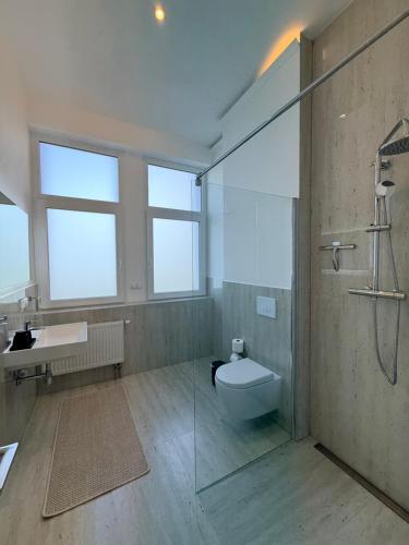 a bathroom with a shower and a toilet and a sink at Ausblick apartments in Badenweiler