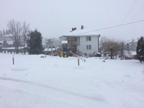 a yard covered in snow with a playground at Willa Hamernik AGROTURYSTYKA in Tylicz