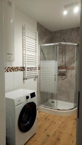 a washing machine in a bathroom with a shower at MagMar Studio Kluczbork Rynek Premium in Kluczbork