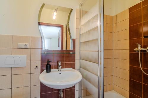 a bathroom with a sink and a shower at Willa Danielski in Niedzica
