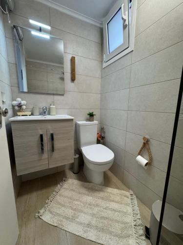 a bathroom with a toilet and a sink and a mirror at Kayani View in Taxiárkhai