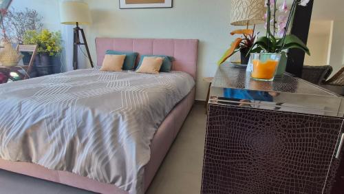 Sunny Terrace Oasis with Mont Blanc View in Central Geneva