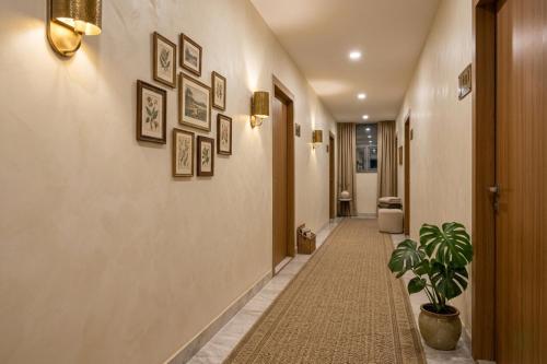 a hallway with a potted plant on a wall at Hotel Shumo Grand Khammam in Khammam