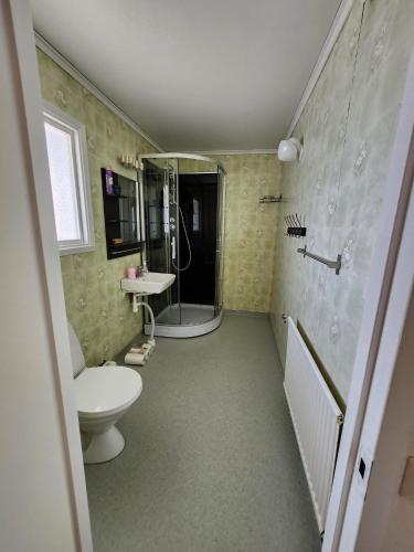 a bathroom with a toilet and a sink and a shower at Evita in Kosta