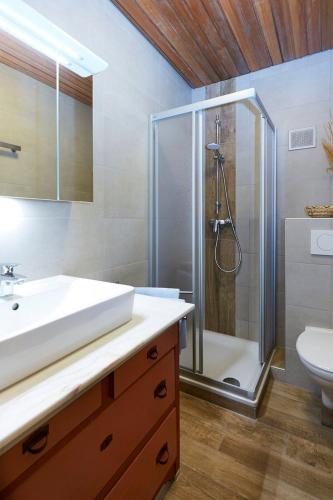 a bathroom with a shower and a sink and a toilet at Pension KaraMia in Fichtelberg