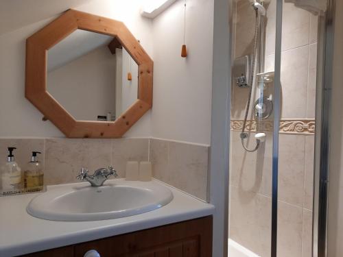 a bathroom with a sink and a shower with a mirror at Montacute Country Tearoooms in Montacute