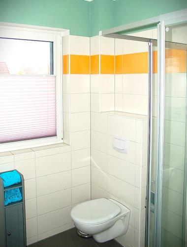 a bathroom with a toilet and a window at Behagliches Ferienhaus Zaunkönig -mit Kamin und Sauna- Blick über das romantische Bodetal in Tanne
