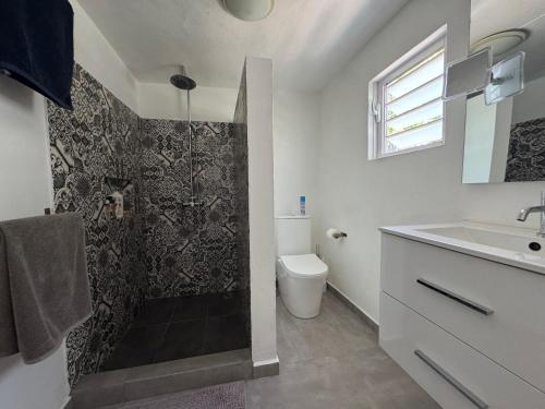 a bathroom with a shower and a toilet and a sink at Spacious basement studio in tranquil nook in Rivière Noire