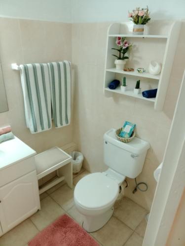 a bathroom with a white toilet and a green towel at Golden Gem Cosy Apartment with pool & garden view in Saint James