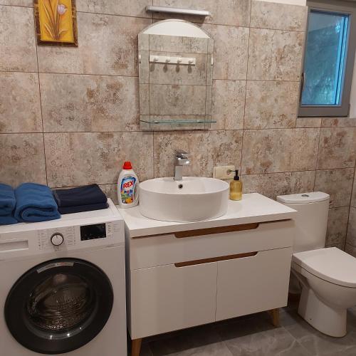 a bathroom with a washing machine and a sink at Berzlejas 3 in Upesgrīva