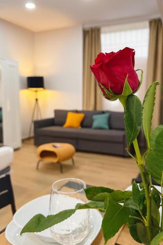 New Apartment - La puerta de olivo