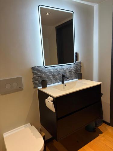a bathroom with a sink and a mirror and a toilet at La grange de Tom in Marche-en-Famenne