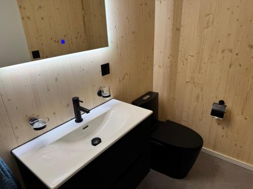 a bathroom with a sink and a toilet and a mirror at See und Berge Cozy in Faulensee