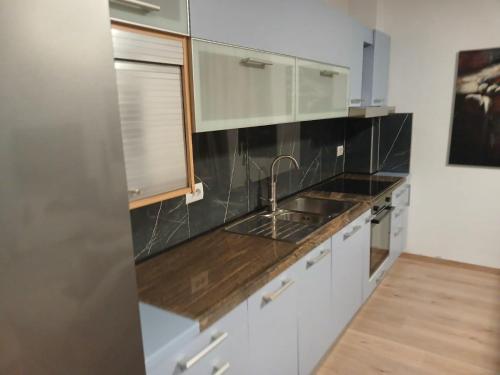 Kuhinja oz. manjša kuhinja v nastanitvi Apartment