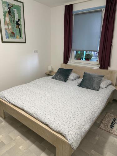a large bed in a bedroom with a window at APARTMAN i SOBA HADELA in Sveti Martin na Muri