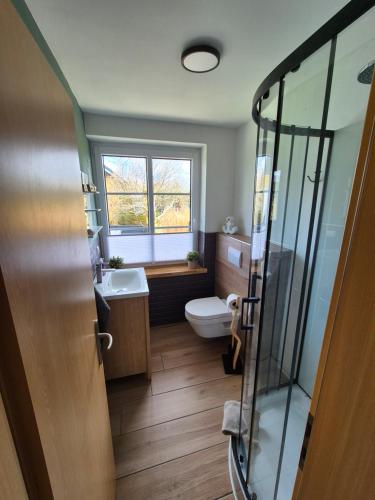 a bathroom with a toilet and a sink and a window at Thirty Minutes in Ellingstedt