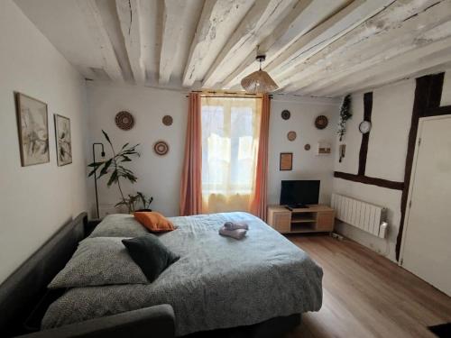 a bedroom with a large bed and a television at Le Petit Cocon d'Orléans in Orléans