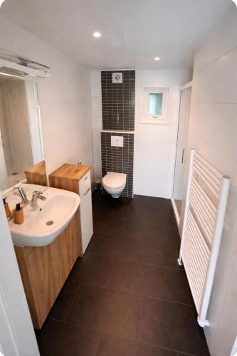 a bathroom with a sink and a toilet at 't Vrolijke Uusje in Scharendijke