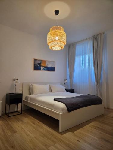 Clodio 13