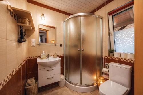 a bathroom with a shower and a toilet and a sink at Domki i Pokoje nad Soliną in Polańczyk