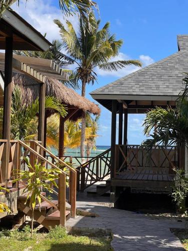ein Resort mit Terrasse und einem Strand mit Palmen in der Unterkunft Alamar Hotel Boutique in Mahahual