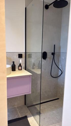 a bathroom with a shower and a sink at Modernes Tinyhouse im Weserbergland nahe Hameln in Hessisch Oldendorf