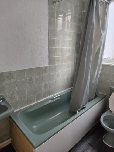 a bathroom with a green bath tub and a toilet at Cristabel Guest House in Clacton-on-Sea