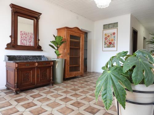 a room with a wooden cabinet and a potted plant at Casa Diego in Spielberg