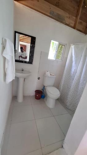 a bathroom with a toilet and a sink and a mirror at Villa hotel Gabi Larimar in La Ciénaga