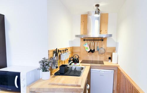 a kitchen with a counter with a sink and a microwave at Pension a apartmány Hanna in Železná Ruda